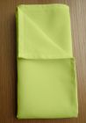Pistachio Green Napkins 51 x 51 cm (20/20")