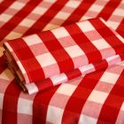 Rossa Red Gingham Napkins On Table 