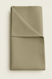 Ancient Stone Sage Napkins