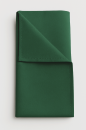 Viceroy Green Napkins 51 x 51 cm (20/20")
