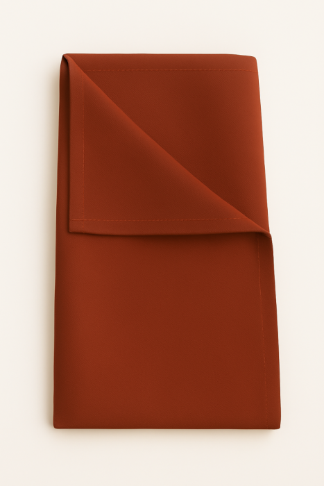 Artista Terracotta Napkins