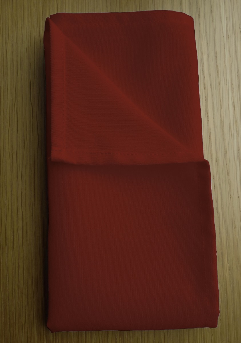 Artista Terracotta Napkins